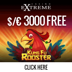 ec-kung-fu-rooster-banner-250x250.gif